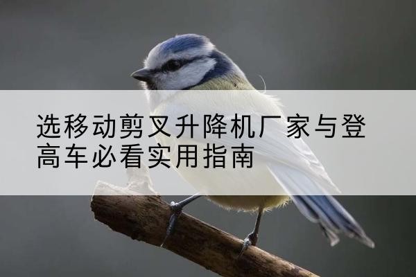 吕梁电动升降机厂家-选移动剪叉升降机厂家与登高车必看实用指南