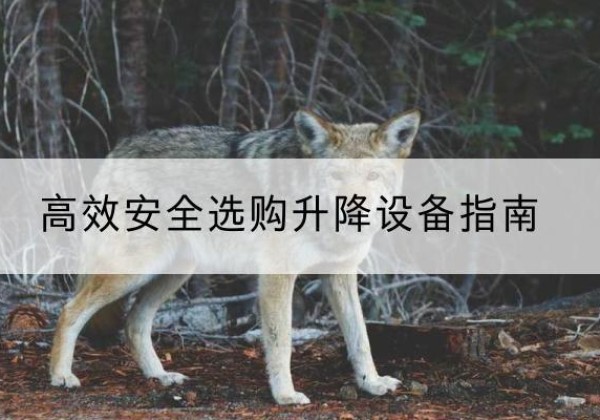 吕梁升降货梯厂家推荐-*安全选购升降设备指南